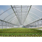 Igloo Film -Adloheat-Horticultural-And-Agricultural-Products
